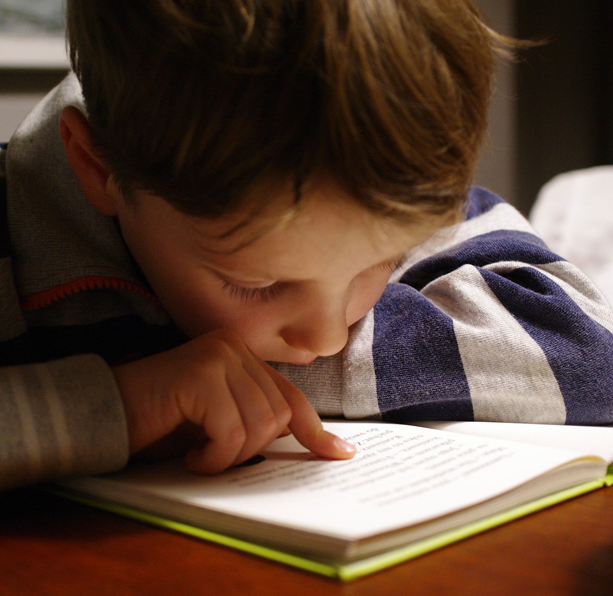 Amazing-Brains-Diagnostic-Dyslexia-Assessments-2 Amazing Brains | Diagnostic Dyslexia Assessments