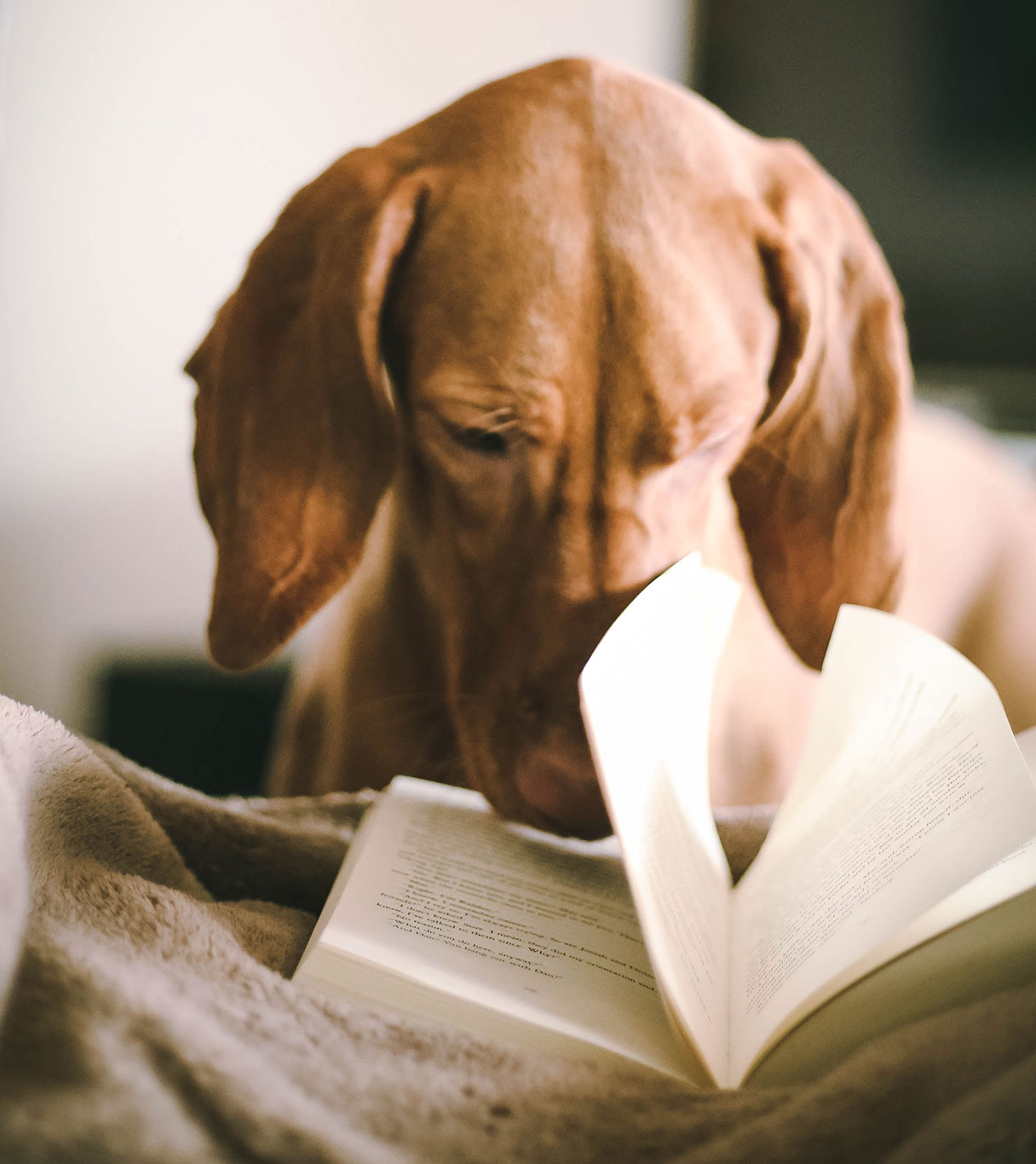 Amazing-Brains-Dyslexia-Teaching-Lessons-2 Private Dyslexia Tuition | Amazing Brains